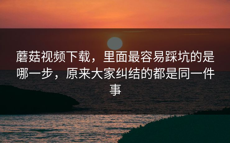 蘑菇视频下载，里面最容易踩坑的是哪一步，原来大家纠结的都是同一件事