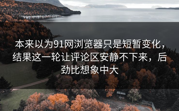 本来以为91网浏览器只是短暂变化，结果这一轮让评论区安静不下来，后劲比想象中大