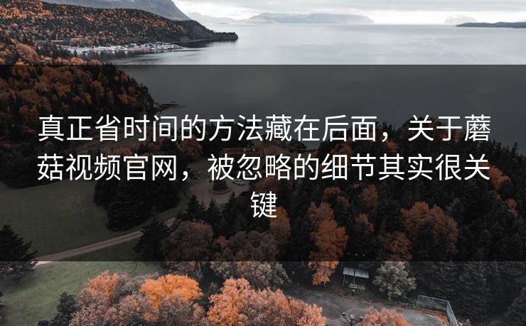 真正省时间的方法藏在后面，关于蘑菇视频官网，被忽略的细节其实很关键