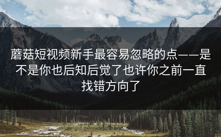 蘑菇短视频新手最容易忽略的点——是不是你也后知后觉了也许你之前一直找错方向了