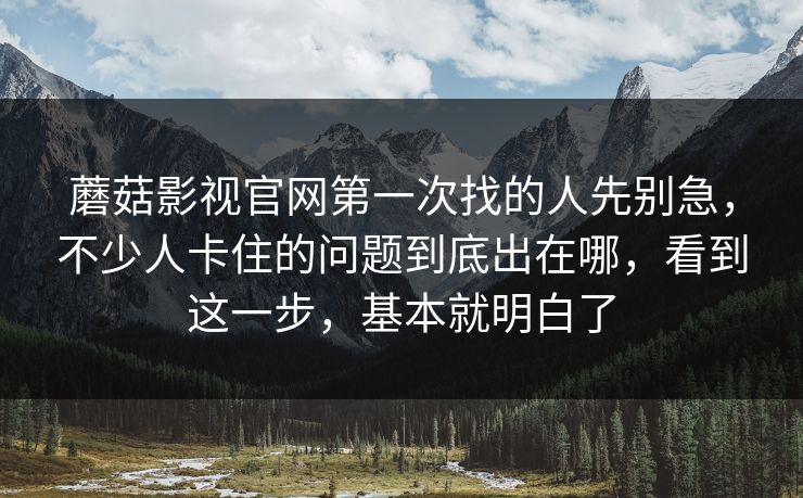 蘑菇影视官网第一次找的人先别急，不少人卡住的问题到底出在哪，看到这一步，基本就明白了
