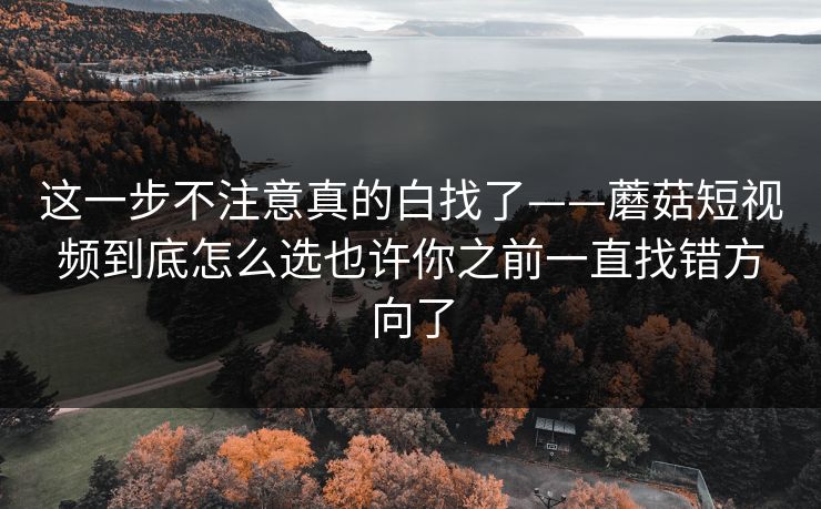 这一步不注意真的白找了——蘑菇短视频到底怎么选也许你之前一直找错方向了