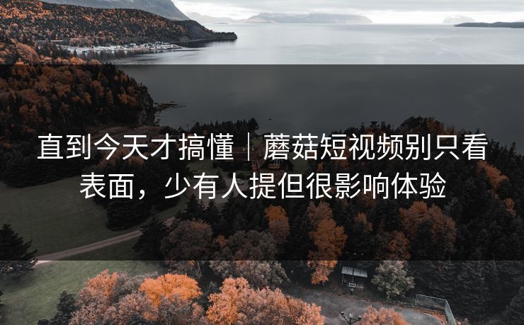 直到今天才搞懂｜蘑菇短视频别只看表面，少有人提但很影响体验