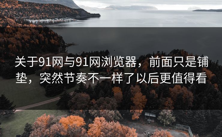 关于91网与91网浏览器，前面只是铺垫，突然节奏不一样了以后更值得看