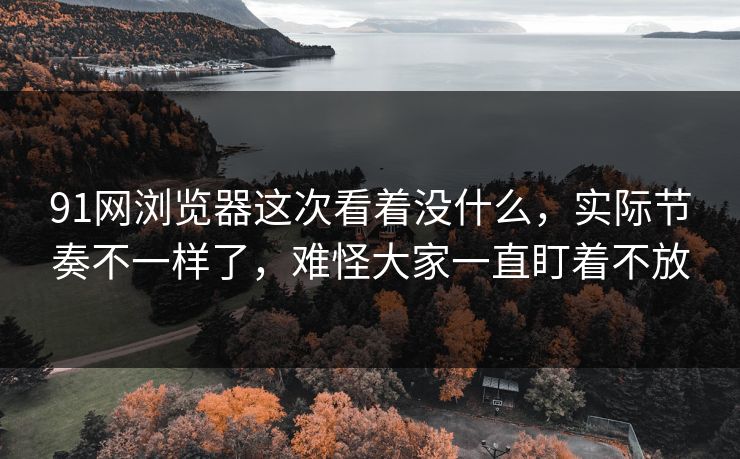 91网浏览器这次看着没什么，实际节奏不一样了，难怪大家一直盯着不放