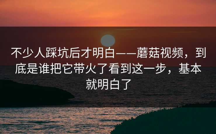 不少人踩坑后才明白——蘑菇视频,到底是谁把它带火了看到这一步,基本就明白了 不少人踩坑后才明白——蘑菇视频,到底是谁把它带火了看到这一步,基本就明白了