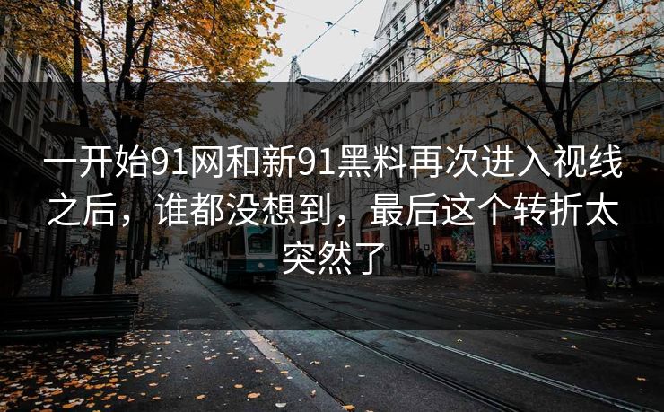 一开始91网和新91黑料再次进入视线之后，谁都没想到，最后这个转折太突然了