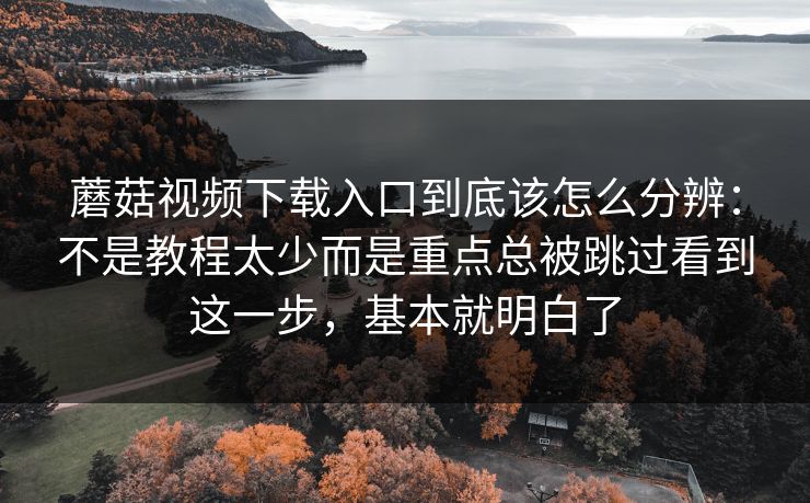 蘑菇视频下载入口到底该怎么分辨:不是教程太少而是重点总被跳过看到这一步,基本就明白了 蘑菇视频下载入口到底该怎么分辨:不是教程太少而是重点总被跳过看到这一步,基本就明白了
